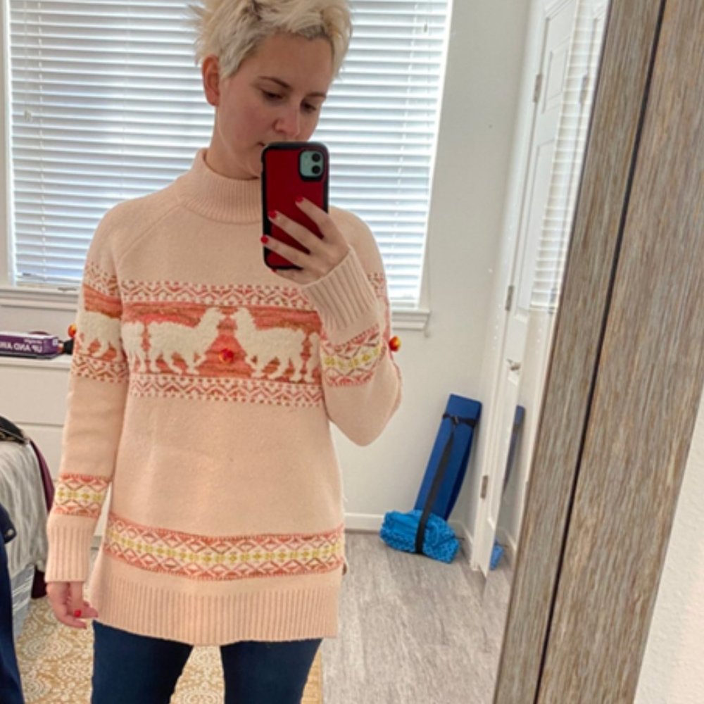 Anthropologie Aimee Pommed Alpaca Sweater - Picture 11 of 14